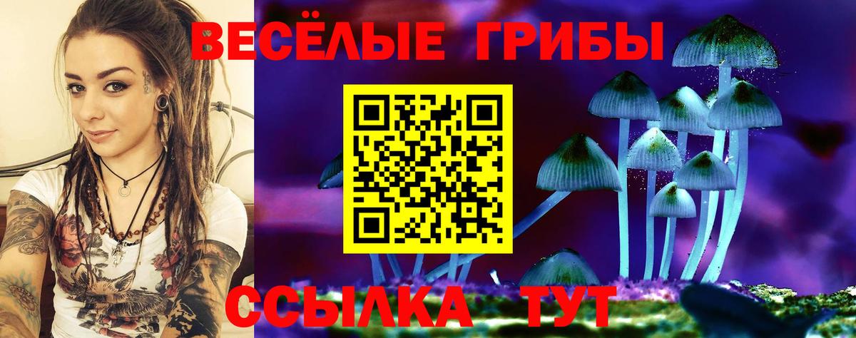 Валуйки  Галлюциногенные грибы ЛСД  Вход с VPN 